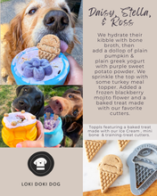 Cargar imagen en el visor de la galería, Honey Pot SodaPup Pup-X Rubber Dog Treat Dispenser- Enrichment Feeder
