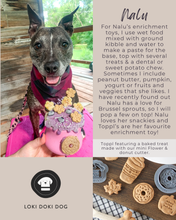 Cargar imagen en el visor de la galería, Honey Pot SodaPup Pup-X Rubber Dog Treat Dispenser- Enrichment Feeder
