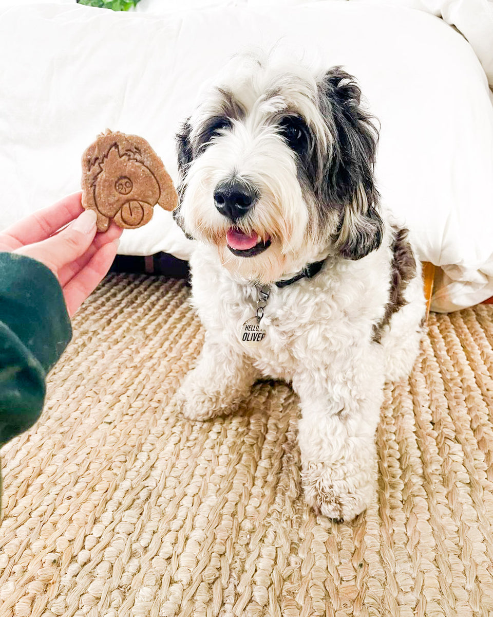 Custom Pet Portrait Cookie Cutters. Homemade dog biscuits that look just like your dog.