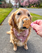 Cargar imagen en el visor de la galería, Cortador de galletas de flores
