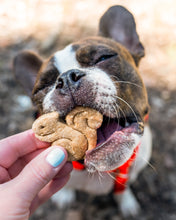 Load image into Gallery viewer, Squirrel Cookie Cutter
