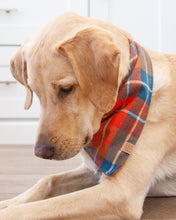 Charger l&#39;image dans la galerie, Bandana pour chien en flanelle à carreaux Pumpkin Harvest (personnalisation disponible)
