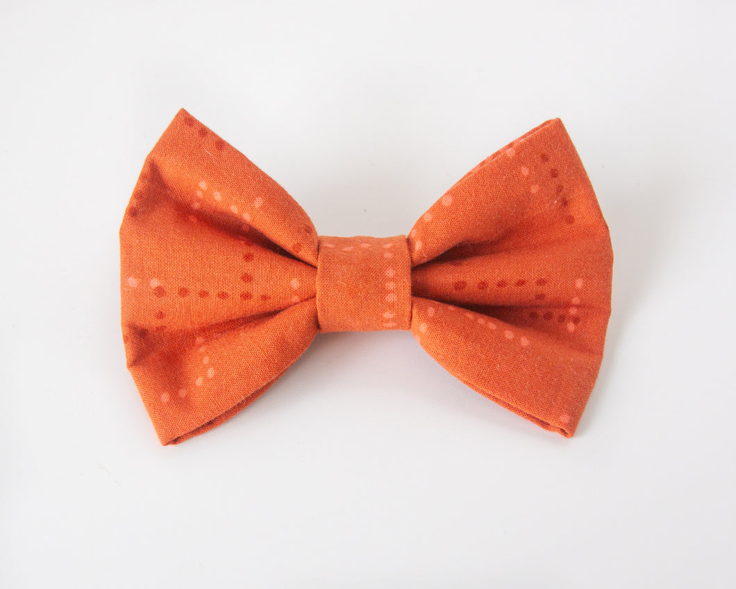 Pop of Orange Dog Bow Tie