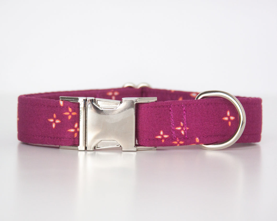 Twinkle Bright Dog Collar (Personalization Available)