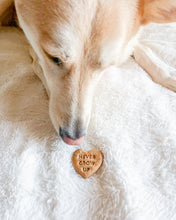 Load image into Gallery viewer, Swiftie Inspired Conversation Hearts - Dog Biscuit Cookie Cutters
