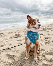 Load image into Gallery viewer, Confetti &amp; Hats - Birthday Dog Bandana &amp; Gotcha Day Dog Bandanas (Reversible Available)
