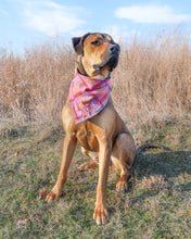 Load image into Gallery viewer, Fruit Punch Plaid Flannel Dog Bandana (Personalization Available)
