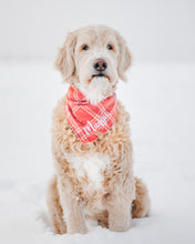 Load image into Gallery viewer, Sun-kissed Coral Plaid Flannel Dog Bandana (Personalization Available)
