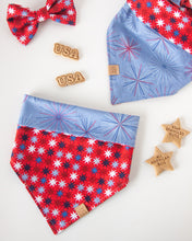 Load image into Gallery viewer, Party USA Dog Bandana (Personalization Available)
