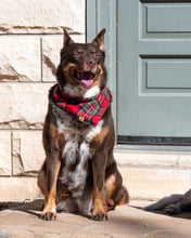 Load image into Gallery viewer, Christmas Tartan Flannel Plaid Dog Bandana (Personalization Available)
