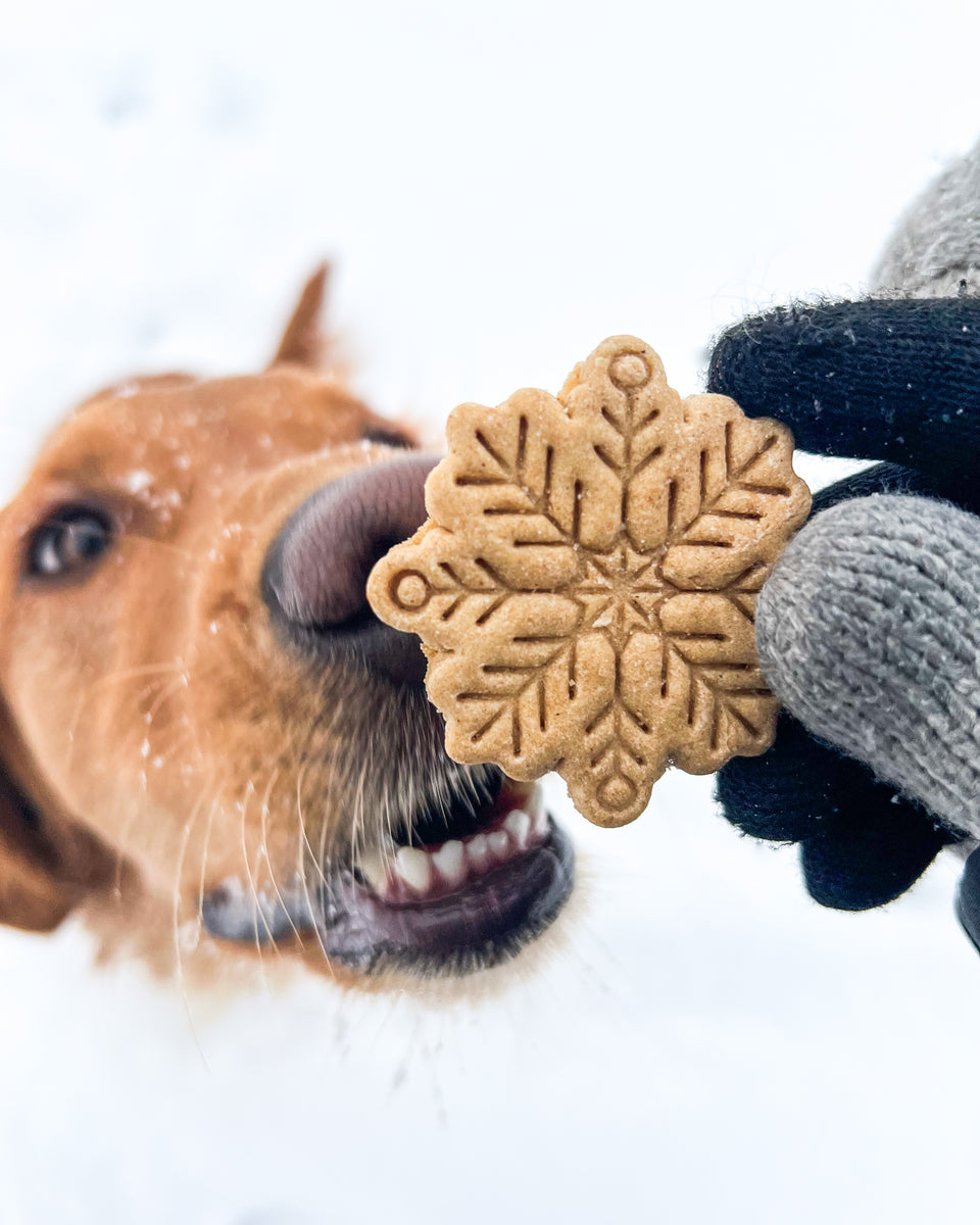 Snowflake Shaped Dog Biscuit Cookie Cutter (Style A) – Loki Doki Dog
