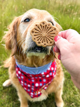 Load image into Gallery viewer, Firework Cookie Cutter
