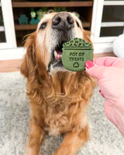 Load image into Gallery viewer, Pot of Treats- St Patrick&#39;s Day - Dog Biscuit Cookie Cutter (2 Styles Available)
