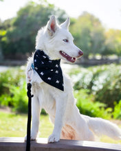 Cargar imagen en el visor de la galería, Bandana para perros Bad to the Bone

