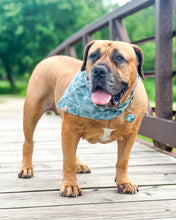 Load image into Gallery viewer, Terrain Dog Bandana
