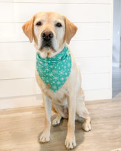 Load image into Gallery viewer, Let it Snow Dog Bandana
