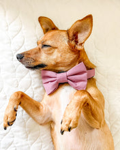 Load image into Gallery viewer, Mauve Purple Dog Bow Tie
