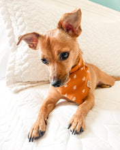 Load image into Gallery viewer, Tree Line Dog Bandana
