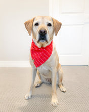 Load image into Gallery viewer, Forever Loved Dog Bandana (Personalization Available)
