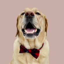Load image into Gallery viewer, Red Buffalo Plaid Dog Bow Tie
