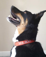 Load image into Gallery viewer, Pumpkin &amp; Spice Dog Collar (Personalization Available)
