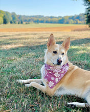 Load image into Gallery viewer, Sugar Plum Dreams Dog Bandana
