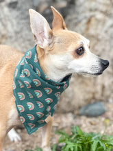 Load image into Gallery viewer, Lucky Charm Dog Bandana (Personalization Available)
