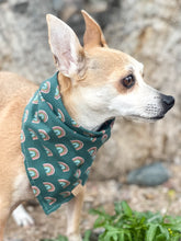 Load image into Gallery viewer, Lucky Charm Dog Bandana (Personalization Available)
