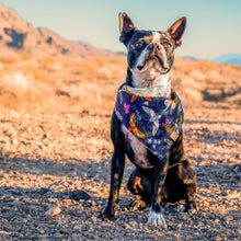 Load image into Gallery viewer, Butterfly Dog Bandana (Reversible)
