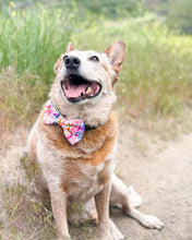 Load image into Gallery viewer, Kaleidoscope Dog Bow Tie
