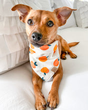 Load image into Gallery viewer, Peaches &amp; Cream Dog Bandana
