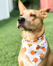 Load image into Gallery viewer, Peaches &amp; Cream Dog Bandana
