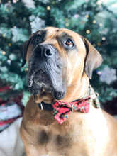 Load image into Gallery viewer, Holiday Plaid Dog Bow Tie
