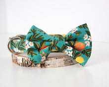 Load image into Gallery viewer, Citrus Bliss Dog Bow Tie
