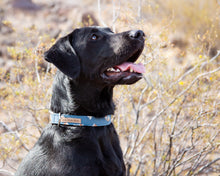 Load image into Gallery viewer, Blue Sahara Dog Collar (Personalization Available)
