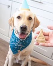 Load image into Gallery viewer, Confetti &amp; Hats - Birthday Dog Bandana &amp; Gotcha Day Dog Bandanas (Reversible Available)
