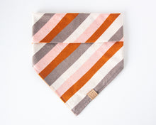 Load image into Gallery viewer, Amber &amp; Spice Dog Bandana
