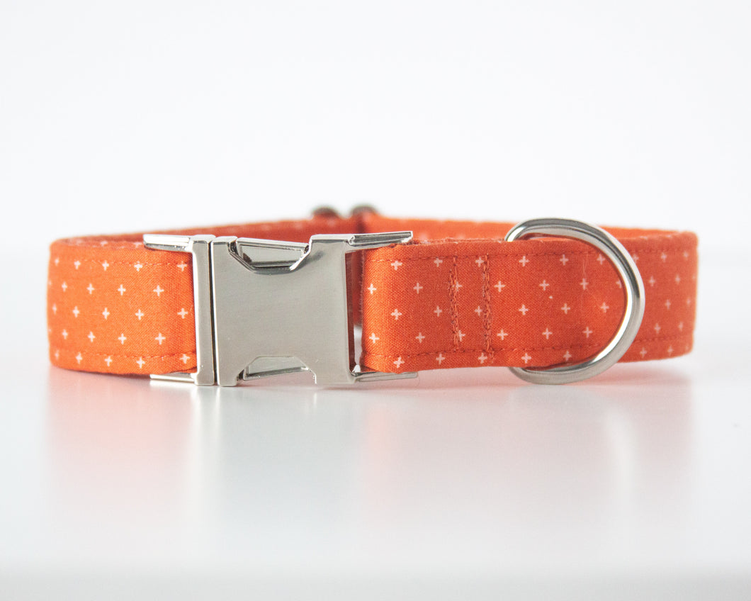 Pumpkin & Spice Dog Collar (Personalization Available)