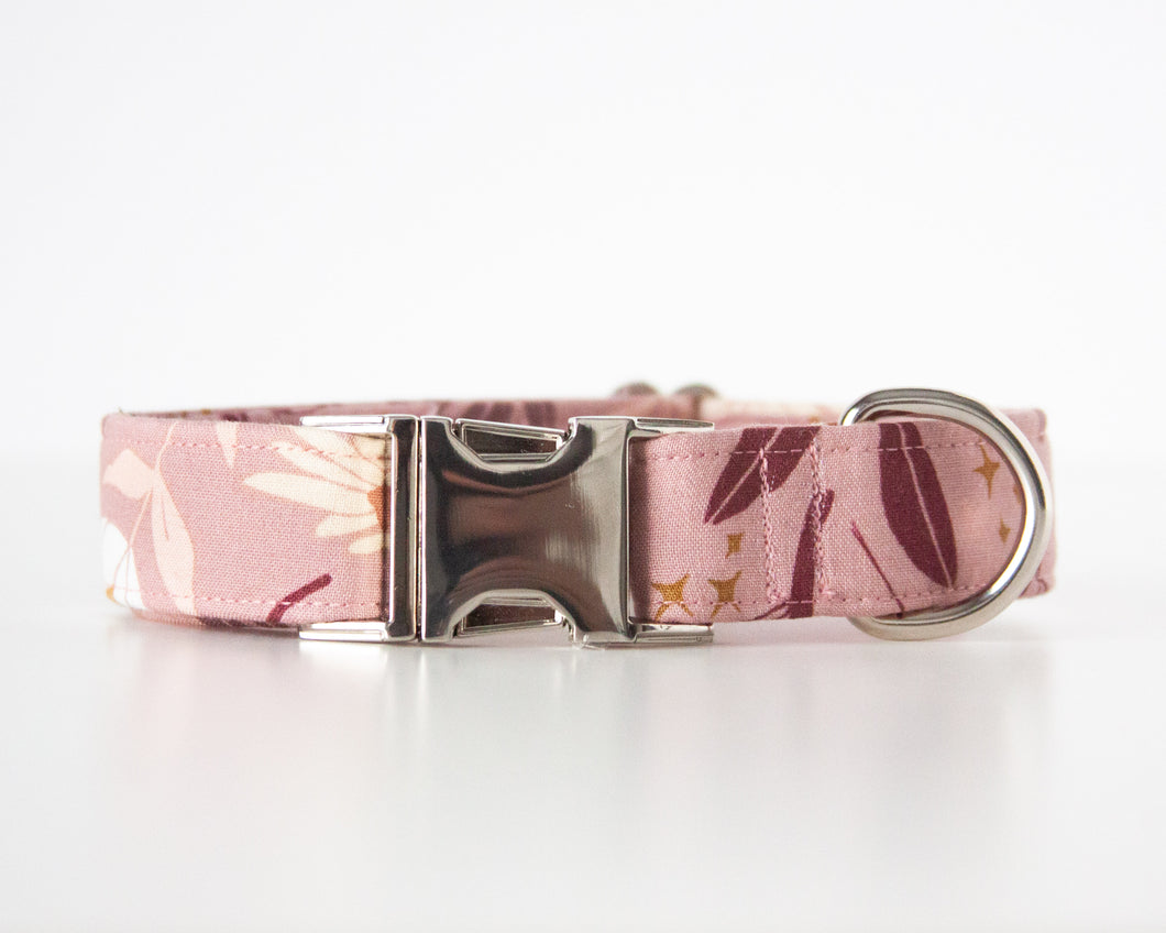 Enchanted Daylight Dog Collar (Personalization Available)