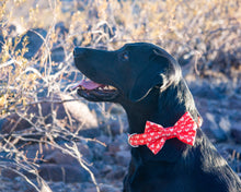 Load image into Gallery viewer, Sweetheart Dog Bow Tie
