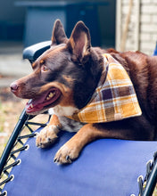 Load image into Gallery viewer, Golden Autumn Plaid Flannel Dog Bandana
