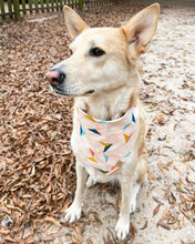 Load image into Gallery viewer, Prismatic Dog Bandana
