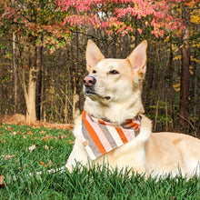 Load image into Gallery viewer, Amber &amp; Spice Dog Bandana

