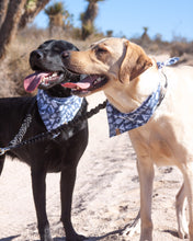 Load image into Gallery viewer, Wanderlust Dog Bandana
