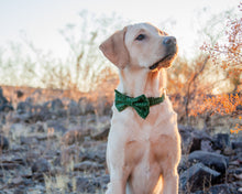Load image into Gallery viewer, Emerald Charm Dog Bow Tie
