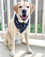 Load image into Gallery viewer, Spooktacular Halloween Dog Bandana (Glow-in-the-dark)
