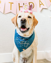 Load image into Gallery viewer, Confetti &amp; Hats - Birthday Dog Bandana &amp; Gotcha Day Dog Bandanas (Reversible Available)
