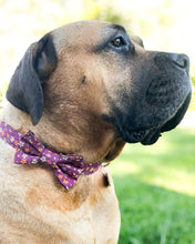 Load image into Gallery viewer, Plum Bouquet Dog Bow Tie
