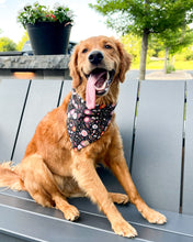 Load image into Gallery viewer, Flower Burst Dog Bandana
