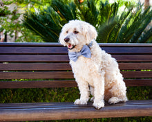 Load image into Gallery viewer, Lilac Serenity Dog Bow Tie
